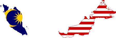4.webp