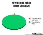 how-people-react-to-my-sarcasm-jokes_o_392607.webp