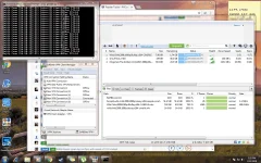 SS.webp