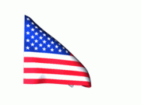 usa.gif