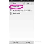 PhotoGrid_1519227451395.webp