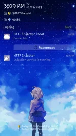 8.webp