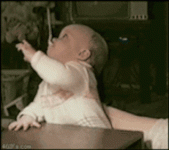 giphy.gif giphy.gif
