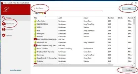 media1.webp