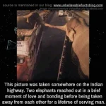 FB_IMG_15200091555735846.webp