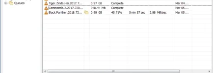 idm2.webp