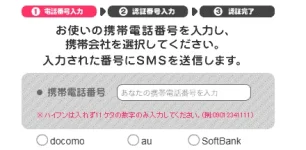 Capture1.webp
