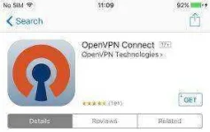 OpenVPN1.webp