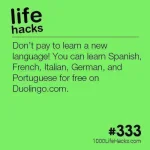 078db23bfecc3ab56110f96b1a8603e9.webp