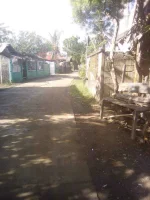 browser_photo.webp