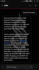 gosurf.webp