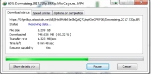 IDM.webp