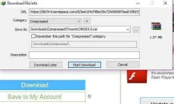 Capture1.webp