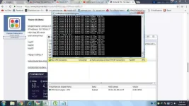 wow.webp