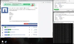 Capture.webp