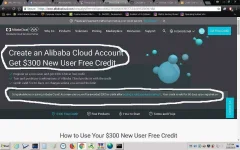 ali.webp