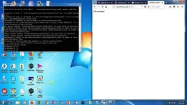 1.webp