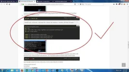 1.webp
