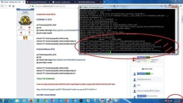 1.webp