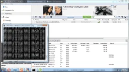 torrent.webp