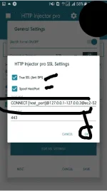 IMG-9d178682-8067-4632-b8e5-7a639edc91cd.webp