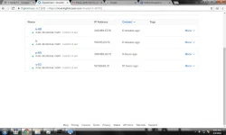 paoSG.webp