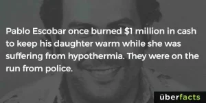 FB_IMG_1523041264199.webp