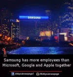 FB_IMG_1523049288137.webp