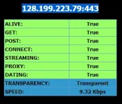 SG RP.webp
