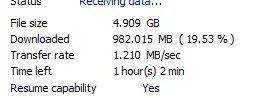23232323223.webp