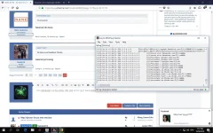 dns.webp