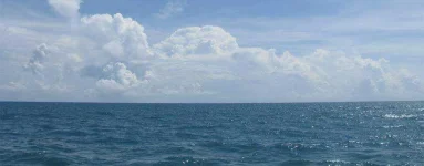 sea.webp