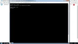 v.webp