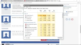 7.webp