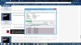 IDM.webp