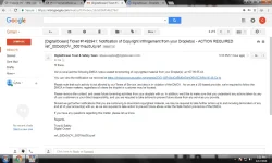 report.webp