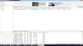 torrent.webp