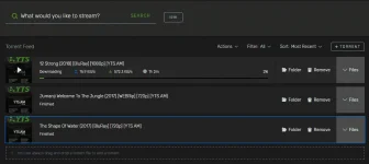 torrent2.webp