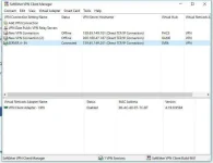 SoftEther VPN Client Manager 4212018 94514 AM.webp