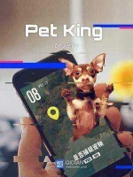 Pet-King.webp