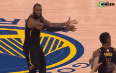 8_LeBron_JR_WYD.gif