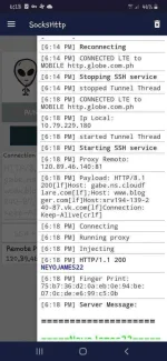 Screenshot_20201013-181842_SocksHttp.webp