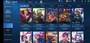 Screenshot_20201014_190119_com.mobile.legends.webp