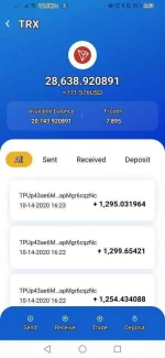 Screenshot_20201014_164345_com.tronlinkpro.wallet.webp