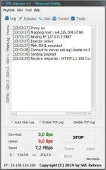 svl1.webp