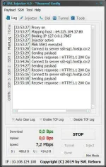 svl2.webp