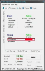 svl3.webp