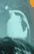 1603128638571.webp