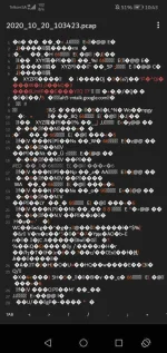 Screenshot_20201020_104330_com.maskyn.fileeditor.webp