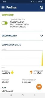 Screenshot_20201020-215928_OpenVPN Connect.webp